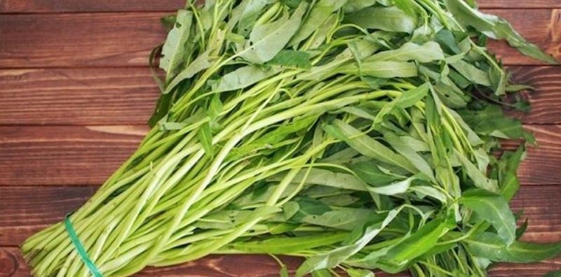 Kangkung