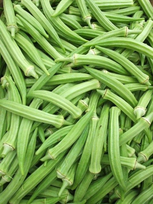 Bendi